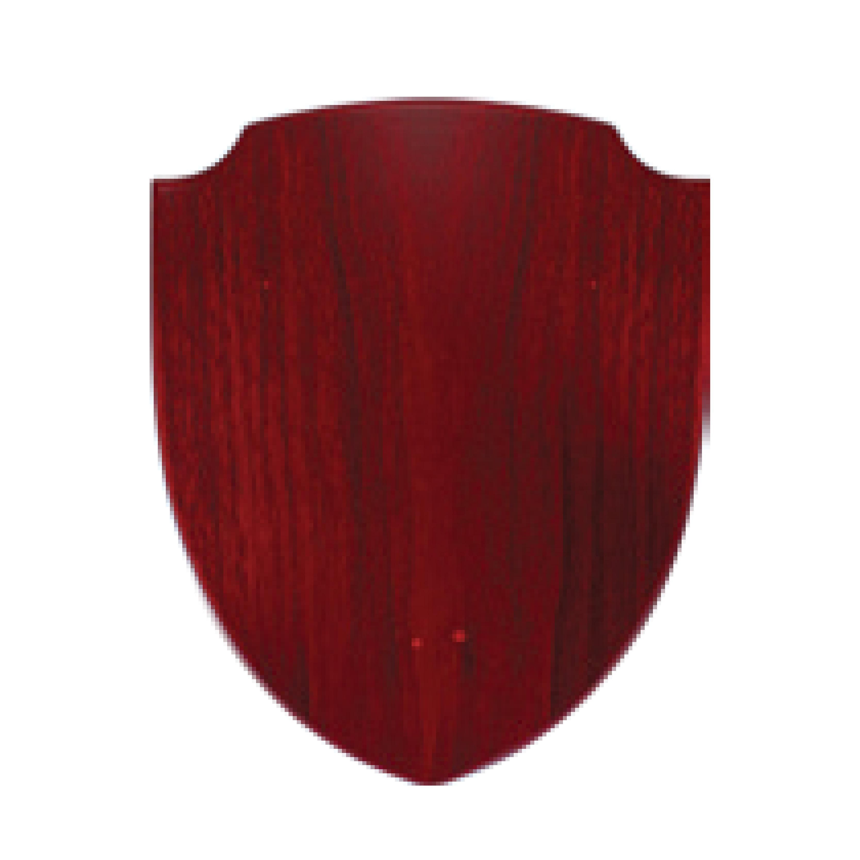 Shield Shaped in Gloss Finish and Alumium Plate